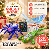 🎄 Le cadeau télécommandé qui va faire réagir toute la maison